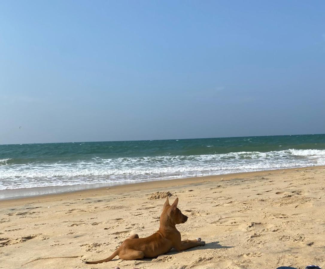 Sea Sand Resort คัลพิทิยา ภายนอก รูปภาพ