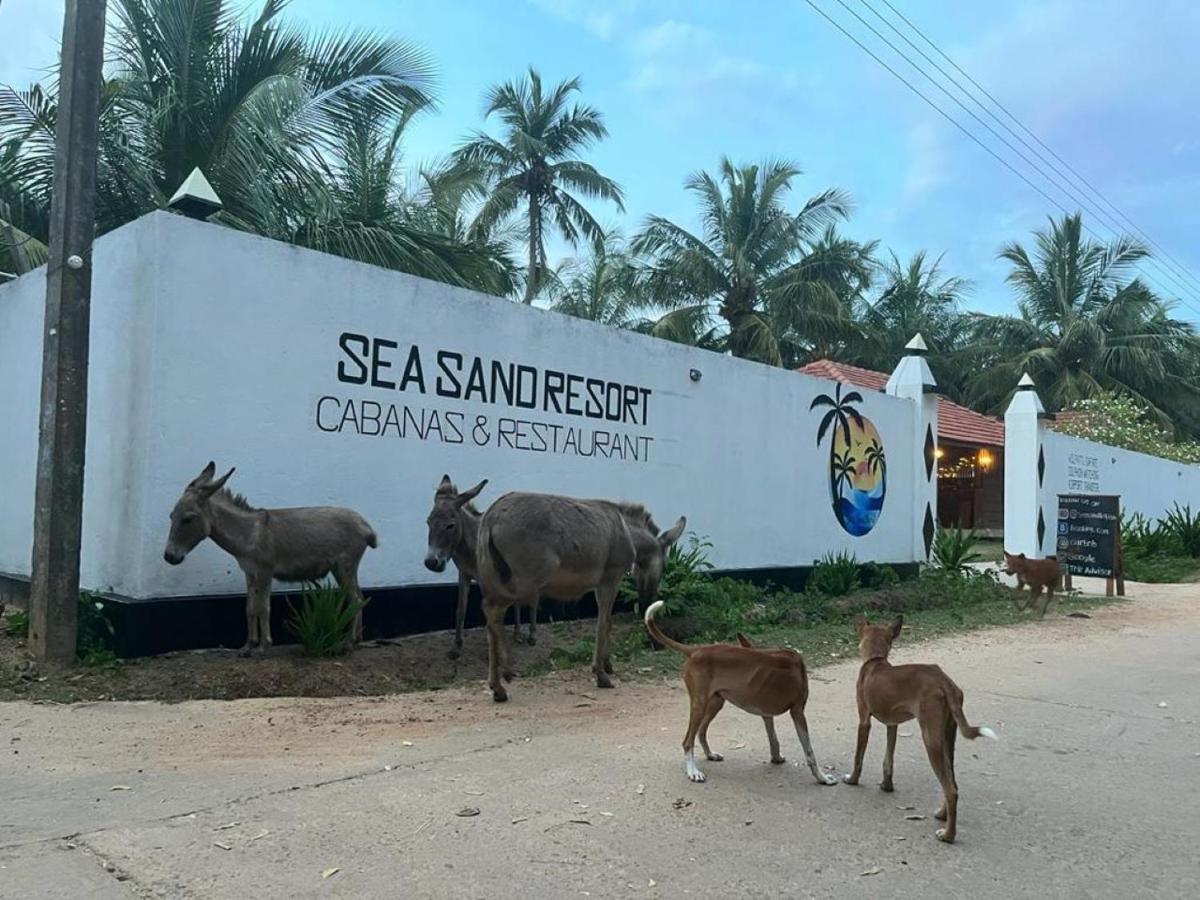 Sea Sand Resort คัลพิทิยา ภายนอก รูปภาพ