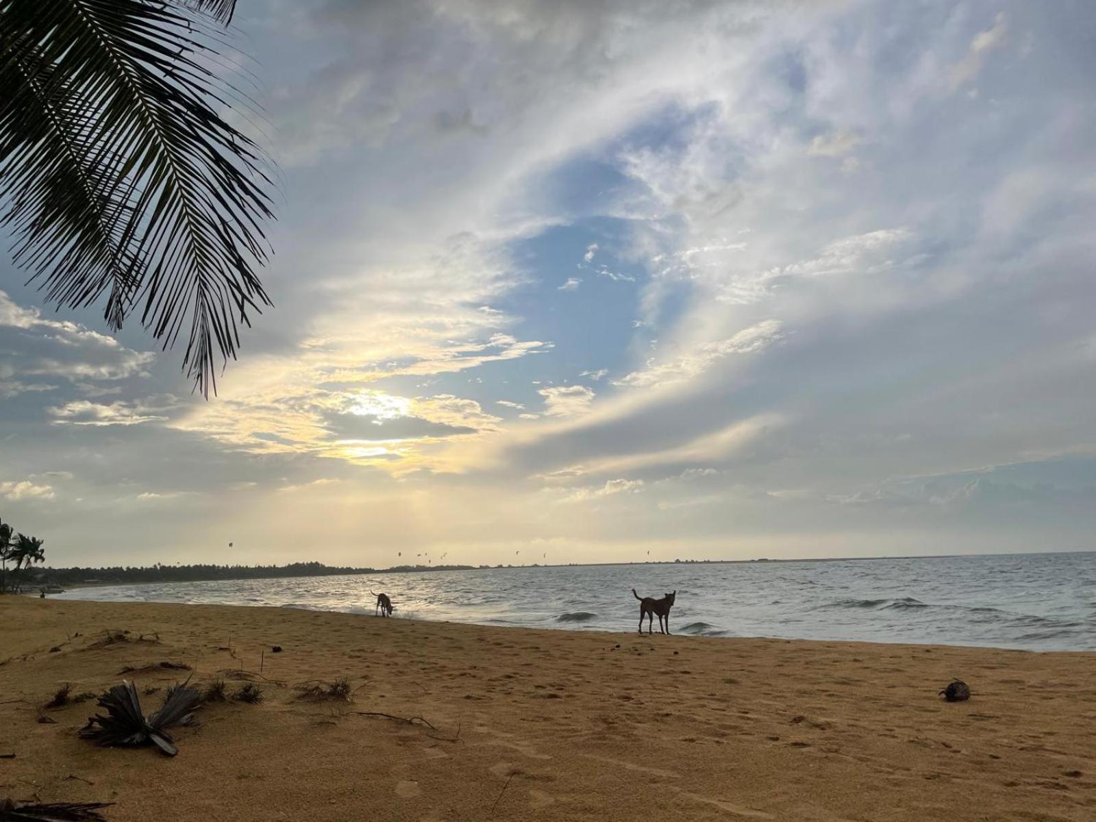 Sea Sand Resort คัลพิทิยา ภายนอก รูปภาพ
